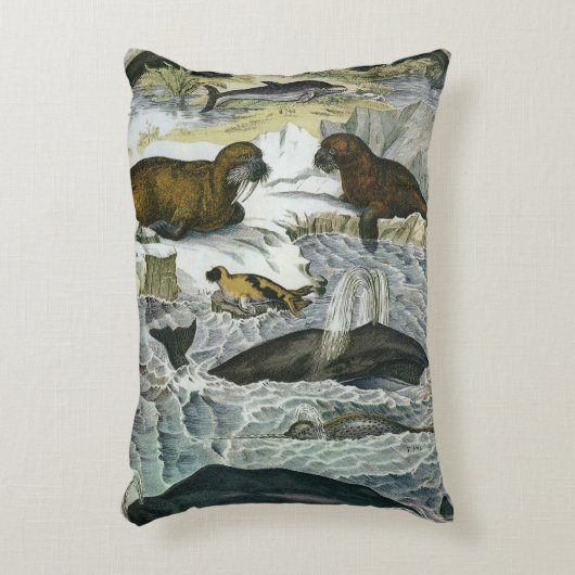 ヴィンテージ鯨、アザラシ及びセイウチ、海産動物 アクセントクッション (正面(垂直))