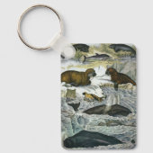 ヴィンテージ鯨、アザラシ及びセイウチ、海産動物 キーホルダー (正面)