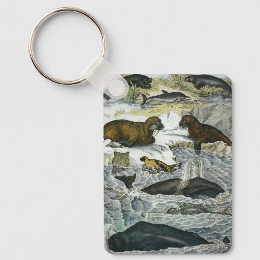 ヴィンテージ鯨、アザラシ及びセイウチ、海産動物 キーホルダー (正面)