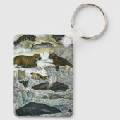 ヴィンテージ鯨、アザラシ及びセイウチ、海産動物 キーホルダー (裏面)