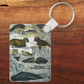ヴィンテージ鯨、アザラシ及びセイウチ、海産動物 キーホルダー (裏面)