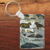 ヴィンテージ鯨、アザラシ及びセイウチ、海産動物 キーホルダー (正面)