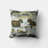 ヴィンテージ鯨、アザラシ及びセイウチ、海産動物 クッション (正面)