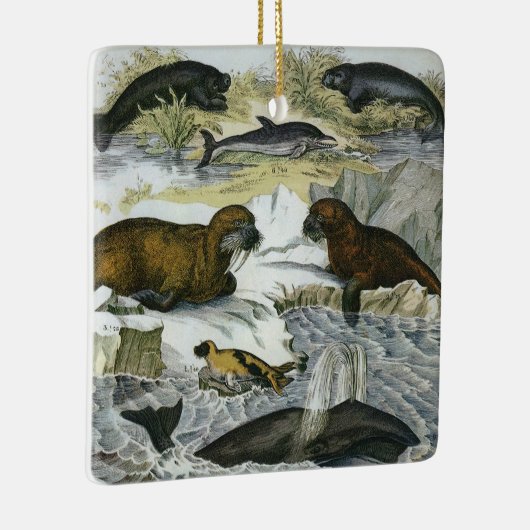 ヴィンテージ鯨、アザラシ及びセイウチ、海産動物 セラミックオーナメント (右)