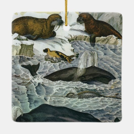 ヴィンテージ鯨、アザラシ及びセイウチ、海産動物 セラミックオーナメント (裏面)