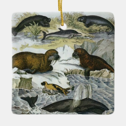 ヴィンテージ鯨、アザラシ及びセイウチ、海産動物 セラミックオーナメント (正面)