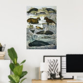 ヴィンテージ鯨、アザラシ及びセイウチ、海産動物 ポスター (ホームオフィス)