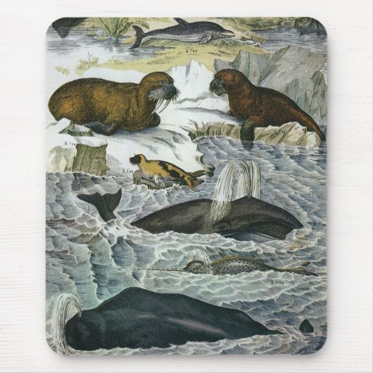 ヴィンテージ鯨、アザラシ及びセイウチ、海産動物 マウスパッド (正面)