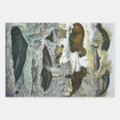 ヴィンテージ鯨、アザラシ及びセイウチ、海産動物 ラッピングペーパーシート (正面)