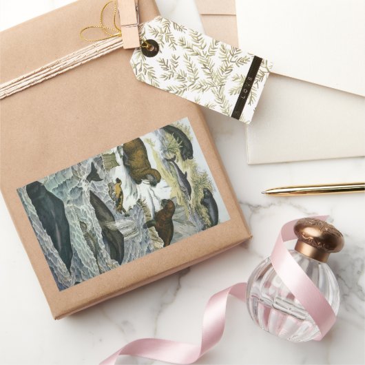 ヴィンテージ鯨、アザラシ及びセイウチ、海産動物 長方形シール (ギフト)