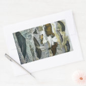 ヴィンテージ鯨、アザラシ及びセイウチ、海産動物 長方形シール (封筒)