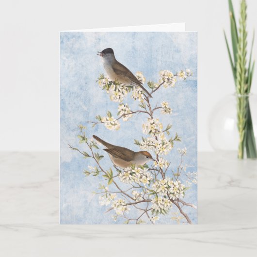 ヴィンテージ鳥が咲く枝の青空に空白の サンキューカード (正面)