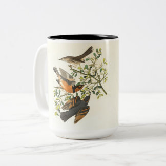 ヴィンテージ鳥と野の花のコーヒーマグ | エレガントな自然 ツートーンマグカップ