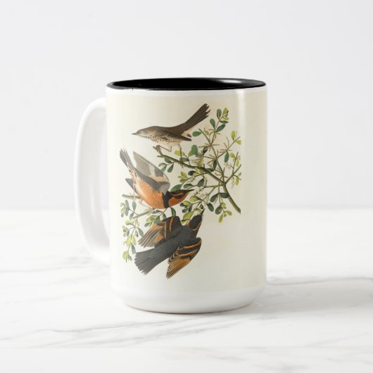 ヴィンテージ鳥と野の花のコーヒーマグ | エレガントな自然 ツートーンマグカップ (正面左)