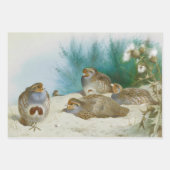 ヴィンテージ鳥のイラストアート ラッピングペーパーシート (正面2)