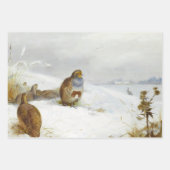 ヴィンテージ鳥のイラストアート ラッピングペーパーシート (正面)