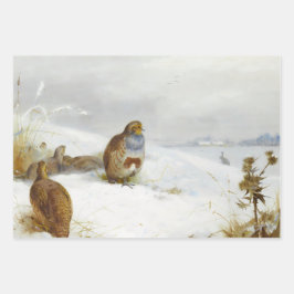 ヴィンテージ鳥のイラストアート ラッピングペーパーシート