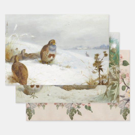 ヴィンテージ鳥のイラストアート ラッピングペーパーシート (セット)
