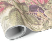 ヴィンテージ鳥の分離植物学 ラッピングペーパー (ロールコーナー)