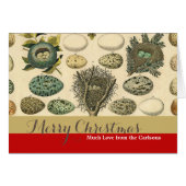 ヴィンテージ鳥の卵ネストアー絵画トの卵 (正面横)