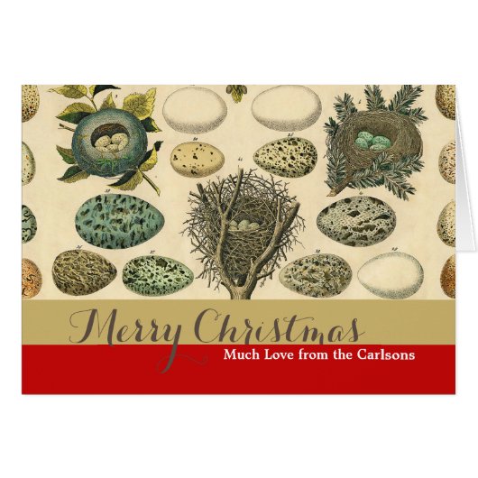 ヴィンテージ鳥の卵ネストアー絵画トの卵 (正面横)