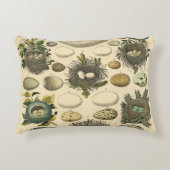 ヴィンテージ鳥の卵ネストアー絵画トの卵 アクセントクッション (正面)