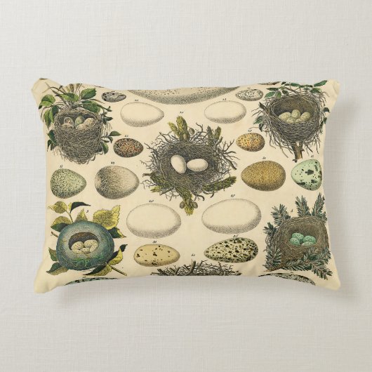 ヴィンテージ鳥の卵ネストアー絵画トの卵 アクセントクッション (正面)
