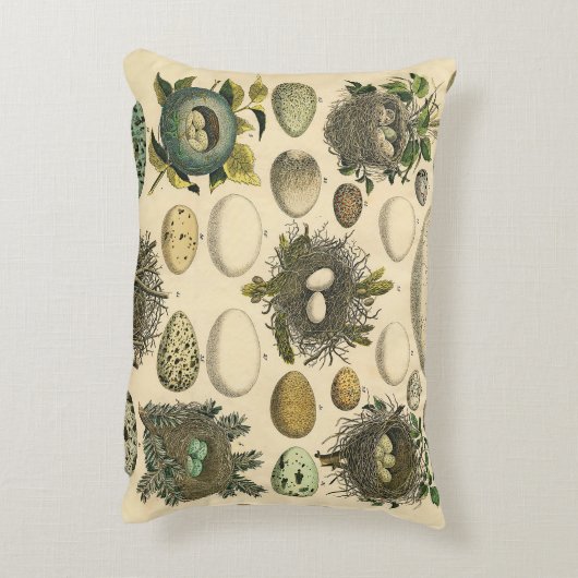 ヴィンテージ鳥の卵ネストアー絵画トの卵 アクセントクッション (裏面(縦))