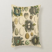 ヴィンテージ鳥の卵ネストアー絵画トの卵 アクセントクッション (正面(垂直))