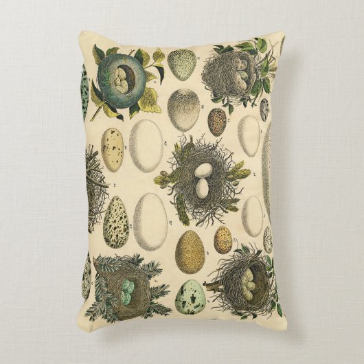 ヴィンテージ鳥の卵ネストアー絵画トの卵 アクセントクッション (正面(垂直))