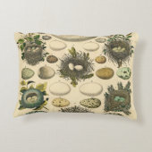 ヴィンテージ鳥の卵ネストアー絵画トの卵 アクセントクッション (裏面)