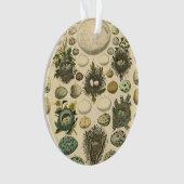 ヴィンテージ鳥の卵ネストアー絵画トの卵 オーナメント (正面)