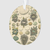 ヴィンテージ鳥の卵ネストアー絵画トの卵 オーナメント (正面)
