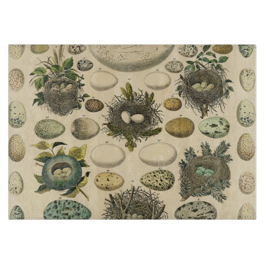 ヴィンテージ鳥の卵ネストアー絵画トの卵 カッティングボード (正面)