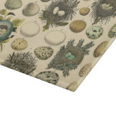 ヴィンテージ鳥の卵ネストアー絵画トの卵 カッティングボード (角)