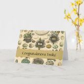 ヴィンテージ鳥の卵ネストアー絵画トの卵 カード (黄色い花)