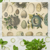 ヴィンテージ鳥の卵ネストアー絵画トの卵 キッチンタオル (折り畳み)