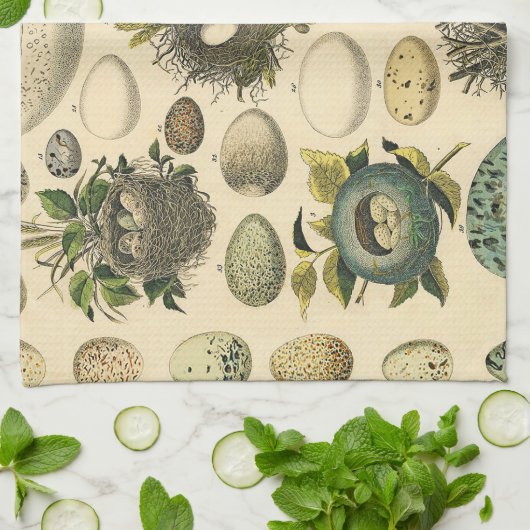 ヴィンテージ鳥の卵ネストアー絵画トの卵 キッチンタオル (折り畳み)