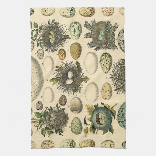 ヴィンテージ鳥の卵ネストアー絵画トの卵 キッチンタオル (縦)
