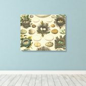 ヴィンテージ鳥の卵ネストアー絵画トの卵 キャンバスプリント (インサイチュ (ウッドフロア))