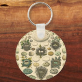 ヴィンテージ鳥の卵ネストアー絵画トの卵 キーホルダー (正面)