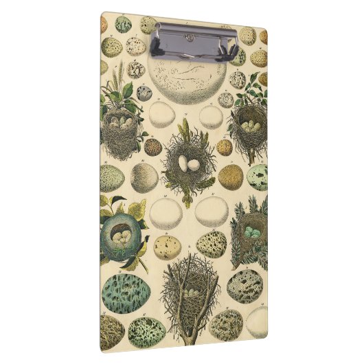 ヴィンテージ鳥の卵ネストアー絵画トの卵 クリップボード (右)