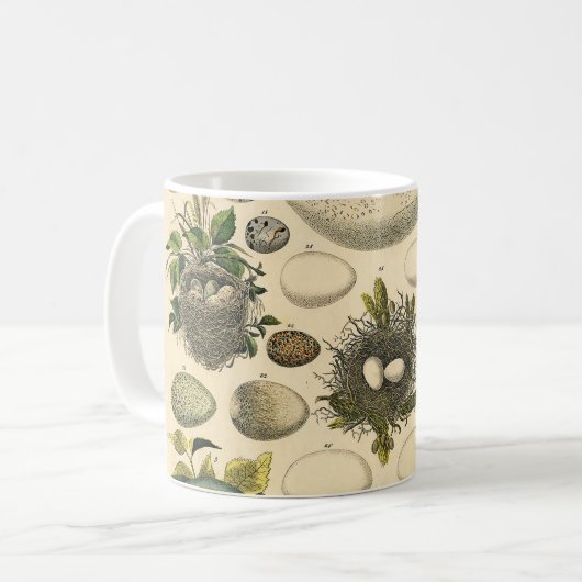 ヴィンテージ鳥の卵ネストアー絵画トの卵 コーヒーマグカップ (正面左)