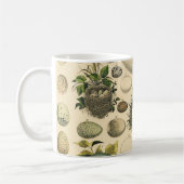 ヴィンテージ鳥の卵ネストアー絵画トの卵 コーヒーマグカップ (左)