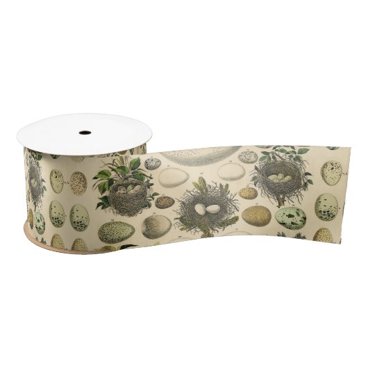 ヴィンテージ鳥の卵ネストアー絵画トの卵 サテンリボン (リール)