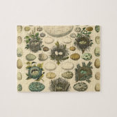 ヴィンテージ鳥の卵ネストアー絵画トの卵 ジグソーパズル (横)