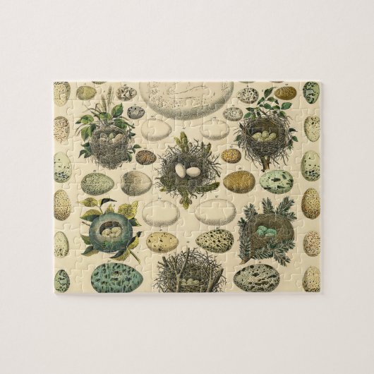 ヴィンテージ鳥の卵ネストアー絵画トの卵 ジグソーパズル (横)