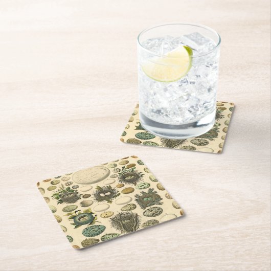 ヴィンテージ鳥の卵ネストアー絵画トの卵 スクエアペーパーコースター (インサイチュ)