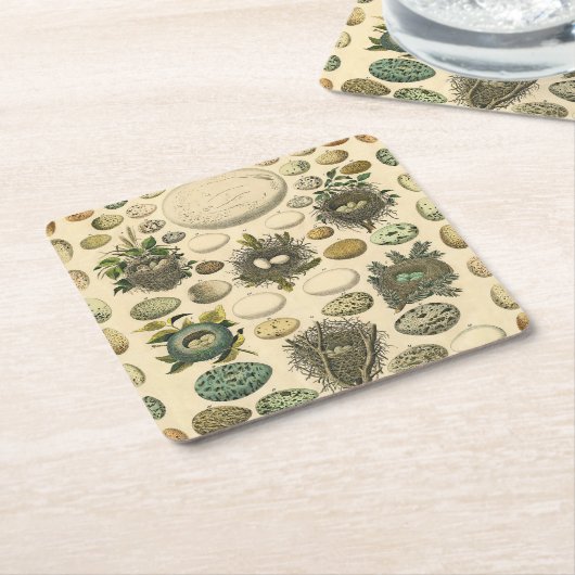 ヴィンテージ鳥の卵ネストアー絵画トの卵 スクエアペーパーコースター (アングル)