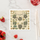 ヴィンテージ鳥の卵ネストアー絵画トの卵 スタンダードカクテルナプキン (インサイチュ)